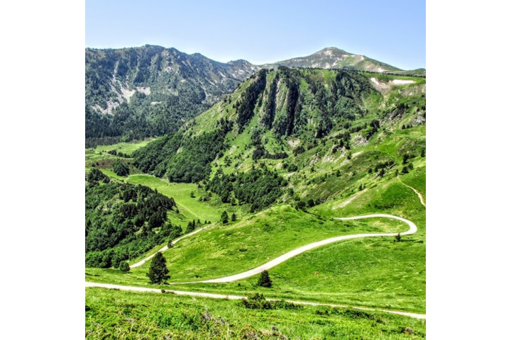 CLASSICEXPERIENCE LE TOUR DE FRANCE EDITION 2